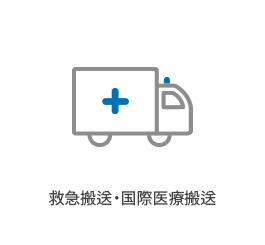 Medical Repatriation